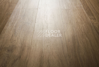 IVC Primero (DryBack) IVC Primero  24234Q фото 6 | FLOORDEALER